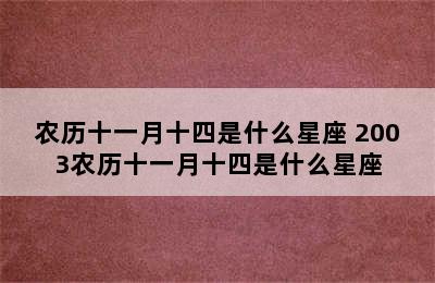 农历十一月十四是什么星座 2003农历十一月十四是什么星座